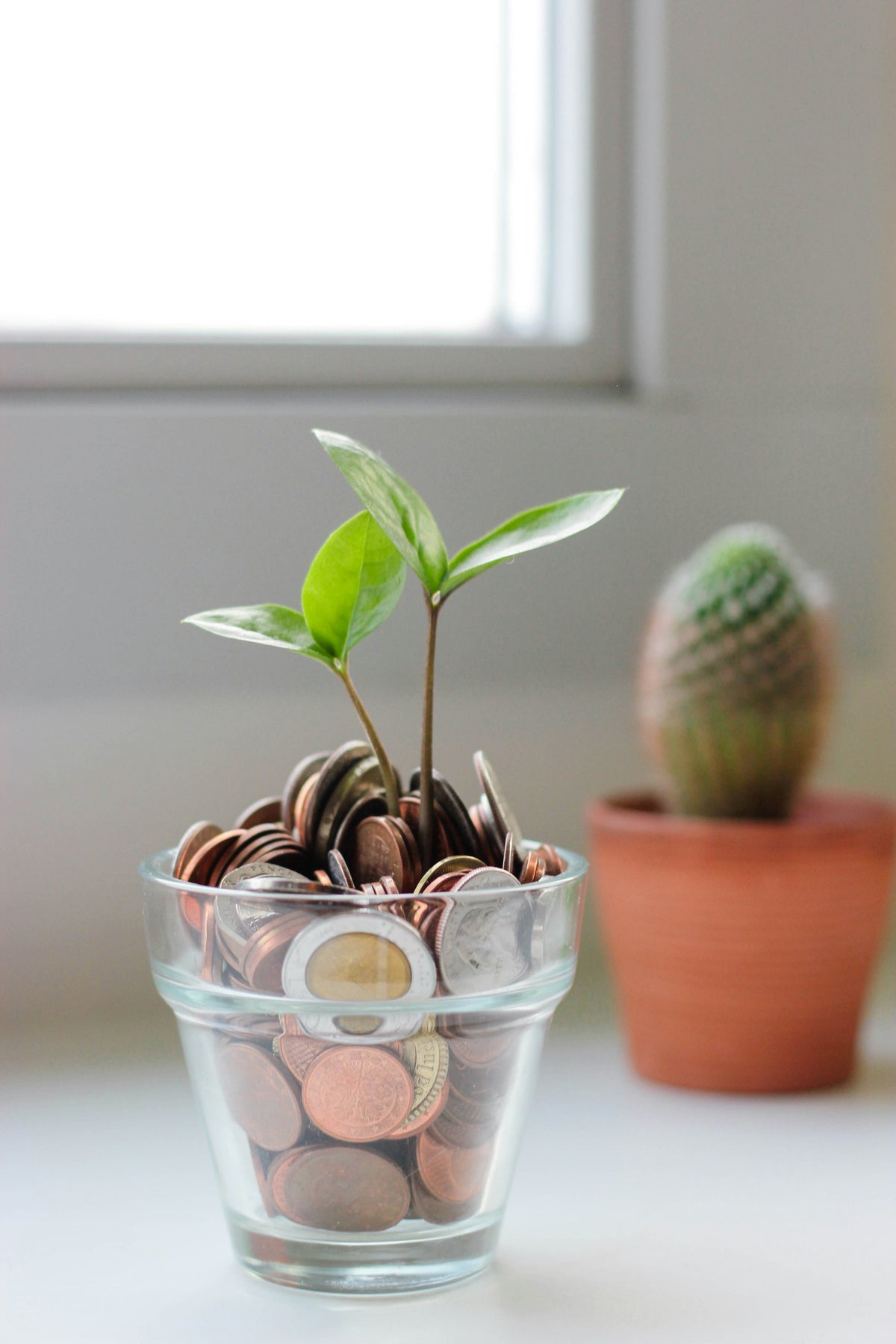 Money and career guides